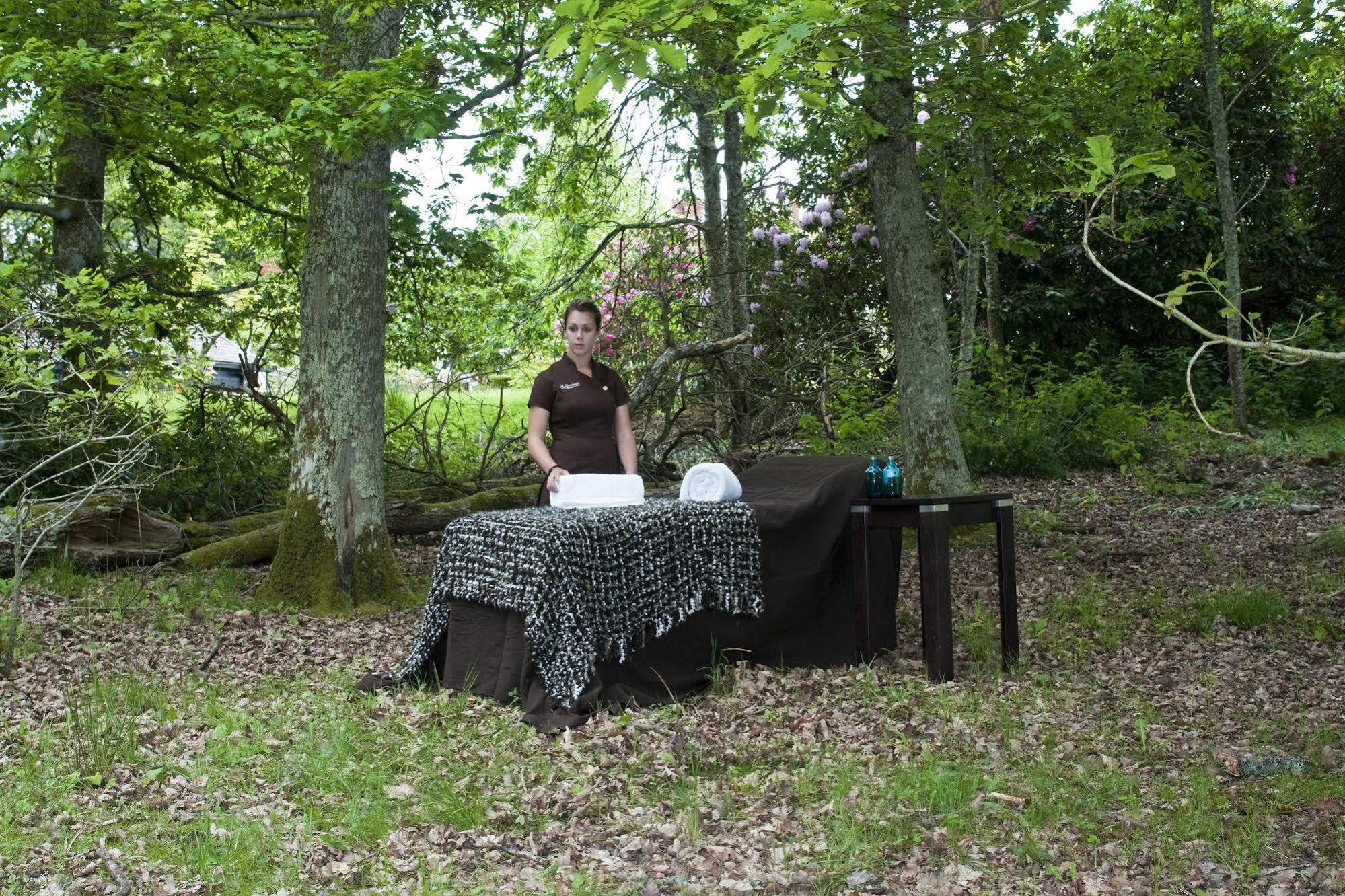 Rhinefield House 4*